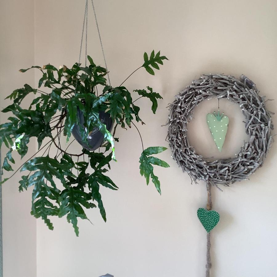 Helle freundliche Wohnung + Garten zum Wohlfühlen Vreden Exterior foto