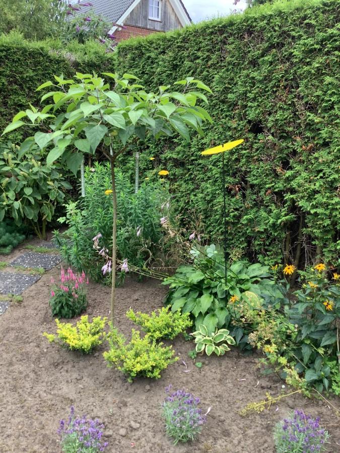 Helle freundliche Wohnung + Garten zum Wohlfühlen Vreden Exterior foto